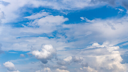 Fototapeta premium cumulus clouds in blue sky