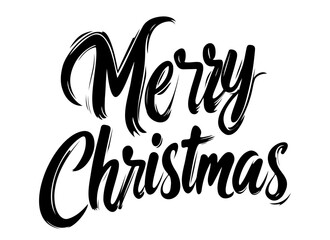 Stylish Christmas greeting in decorative script.