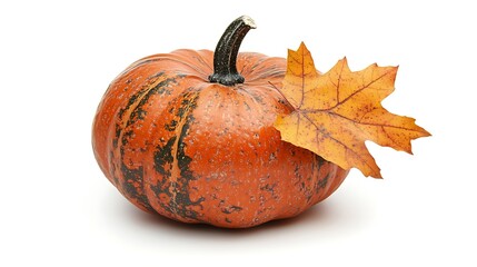 A pumpkin with an autumn leaf draped over it, isolated on a white background. The high-resolution image captures the pumpkins rich texture 