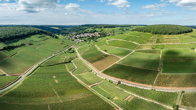Le vignoble de Bourgogne &agrave; Pernand-Vergelesses