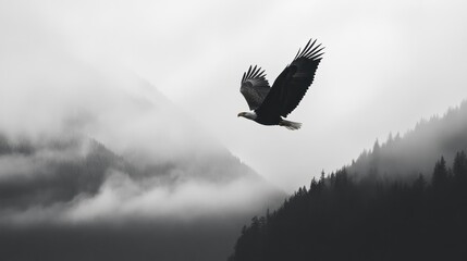 Majestic Eagle Soaring Through Misty Mountains