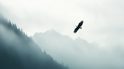 Eagle Soaring Through Misty Mountains
