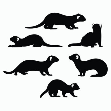 Ferret Silhouette Vector Bundle Animals Illustration Template