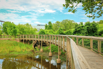 Fototapeta premium William E. Clark Presidential Park Wetlands