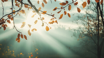 The sky is overcast with clouds, but the autumn sun breaks through, illuminating yellow and red leaves