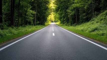 Fototapeta premium Empty Road Leading Through a Lush Forest