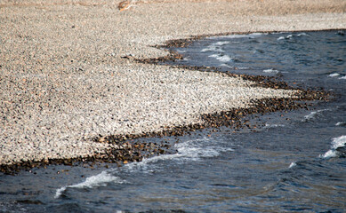 lake shore in Los Alerces National Park, Esquel