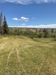 Fototapeta premium The badlands Alberta 