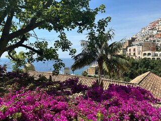 flowers in amalfi 