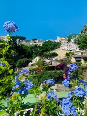 Flowers of Italy