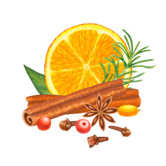 Slice of orange fruit with leaves, cinnamon, berries, clove and star anise, branch of rosemary or spruce, pine. Healthy organic ingredients for baking and drinks. Hand drawn watercolor illustration.