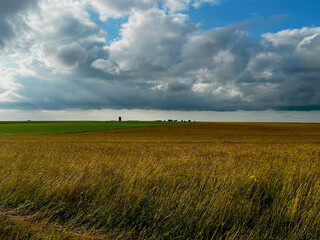 Field of long grass with structures in the distance and a cloudy sky