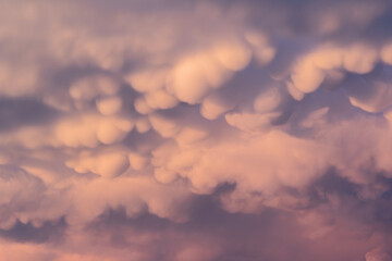 ciel rose composé de nuages ronds particuliers , le mammatus