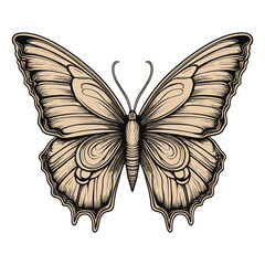 Beige and Black Detailed Butterfly Illustration