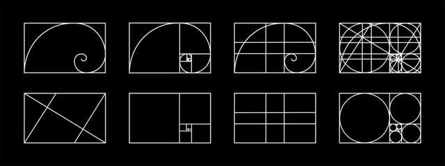 Set of golden ratio templates. Nautilus shell in rectangle frame divided on lines, squares and circles. Fibonacci sequence grids. Ideal nature symmetry proportions layouts. Vector illustration.