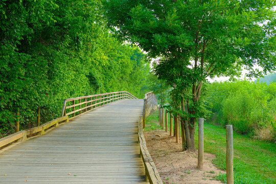 Scenes Along the Greeway Walking Trail in Forsyth County Georgia