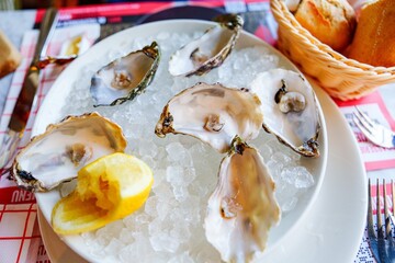 A plate of opened oysters on ice with a lemon wedge. The oysters are fresh and plump, and the lemon...