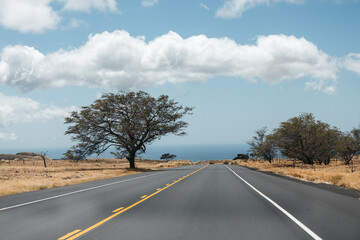 Fototapeta premium on the road