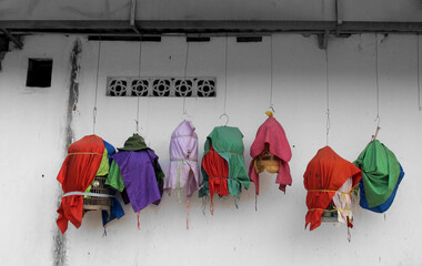 Colorful hanging cages