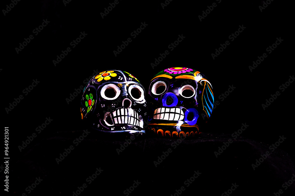 Wall mural two painted skulls on a black background