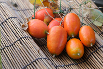 秋の彩りカラスウリ