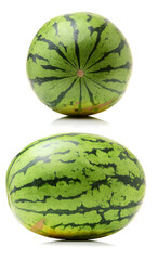 watermelon on a white background 