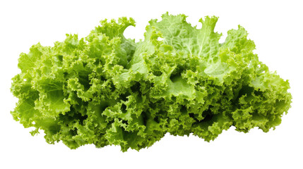 Fototapeta premium lettuce transparent background