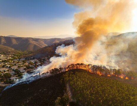  Large forest fire near residential area with high flames and rolling hills in the background.