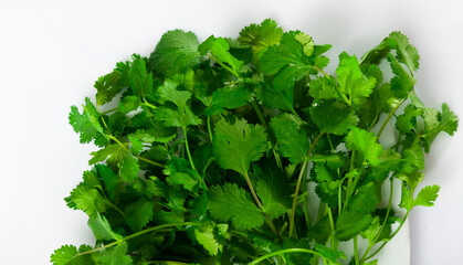 Fototapeta premium Bunch of fresh fragrant cilantro, isolated on a white background. Close-up image