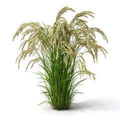 Fototapeta premium The Art of Growth Hyper-Realistic Rice Plant