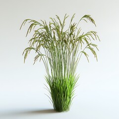 Obraz premium Golden Grains A Rice Plant's Beauty