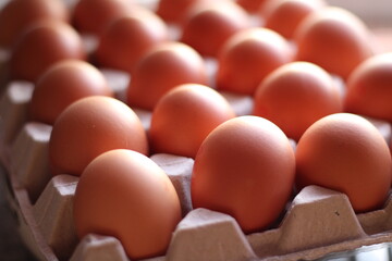 Organic Brown eggs in tray or egg box. Poultry Chicken eggs in carton for grocery or breakfast. Protein diet container in kitchen. Hen farm eggshells collected arranged packaged for sale.