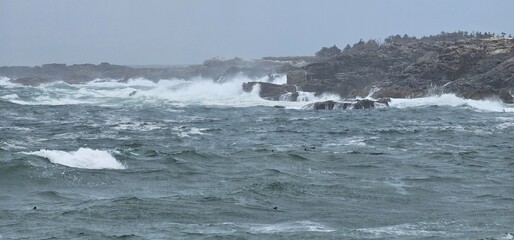Rough sea