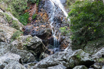 Baxter Falls: A Hidden Gem in Queensland’s Sunshine Coast Hinterland with Scenic Trails and Dramatic Waterfalls