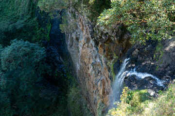 Obraz premium Mapleton Falls National Park: Australian Natural wonder with Scenic Views and Epic Waterfall in the Sunshine Coast Hinterland, Oueensland