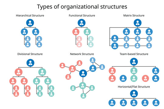7 types of organizational structures to organize the company organization chart
