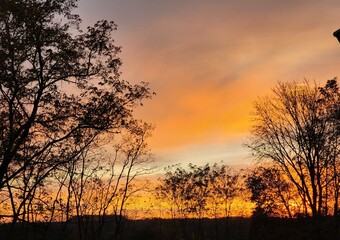 sunset over the field