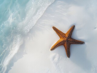starfish on white sand beach blue ocean - ai