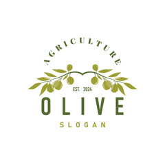 Olive Oil Logo, Olive Leaf Plant Herbal Garden Simple Elegant Luxurious Icon Design Template illustration