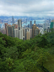 Fototapeta premium View of Hong Kong Island from The Peak. 