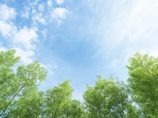 Obraz premium Implementing Low-Carbon Business Practices for Sustainable Growth and Environmental Responsibility