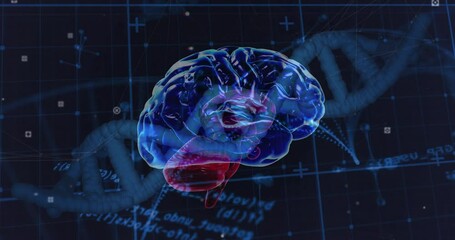 Animation of data processing over dna strand and brain - Powered by Adobe
