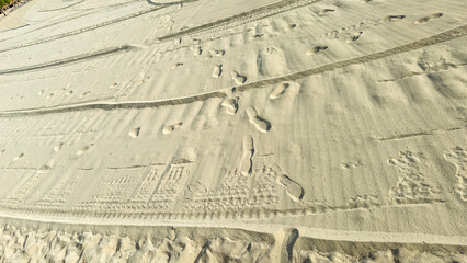 Footprints on a sandy beach left by people and vehicles with visible patterns