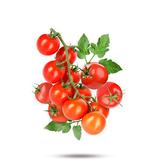 Fresh tomatoes with green leaves falling on white background