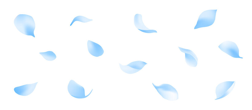 Beautifully dancing petals vector material