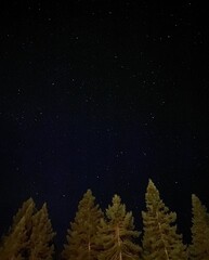 starry sky