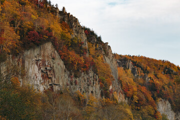 Trees with autumn foliage growing on a rocky cliff in a Japanese gorge