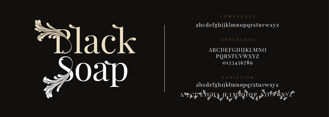 Blacksoap typography beauty fashion elegant minimalist serif italic fonts decorative wedding vintage retro logos. Minimal luxury font alphabet logo. Vector illustration
