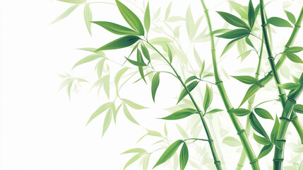 Obraz premium bamboo leaves background