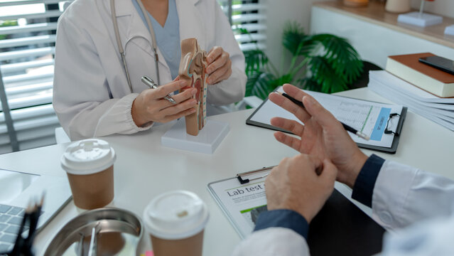 two ENT specialists are discussing the most appropriate treatment for a patient, the two doctors are exchanging their opinions on ENT treatment, anatomy, stethoscope, model